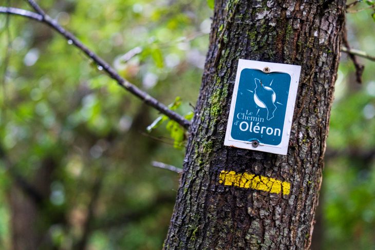 Balisage du chemin d’Oléron