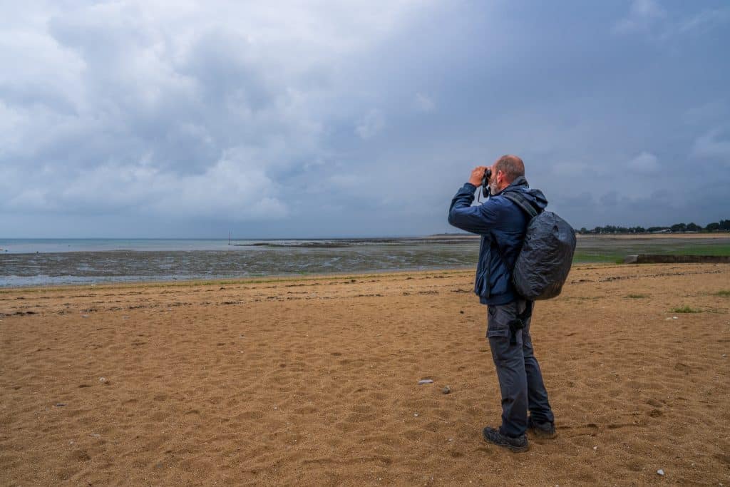 Observation des limicoles aux jumelles