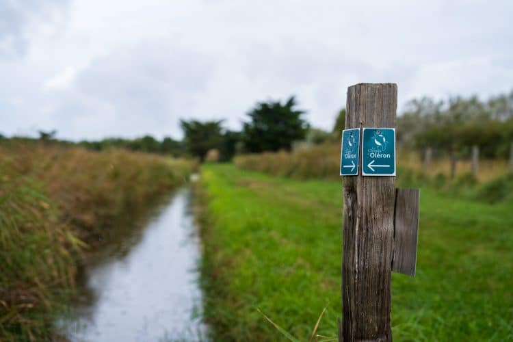 Marais de la Martière
