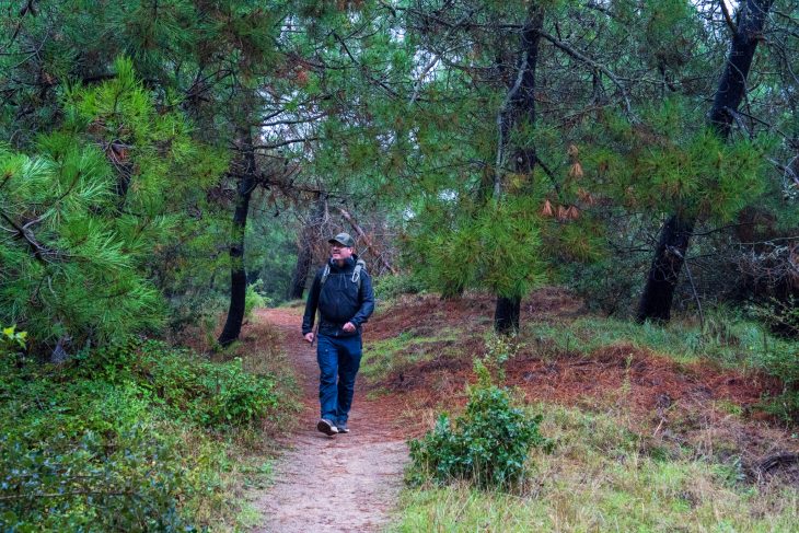 Forêt domaniale de Saint-Trojan-les-Bains