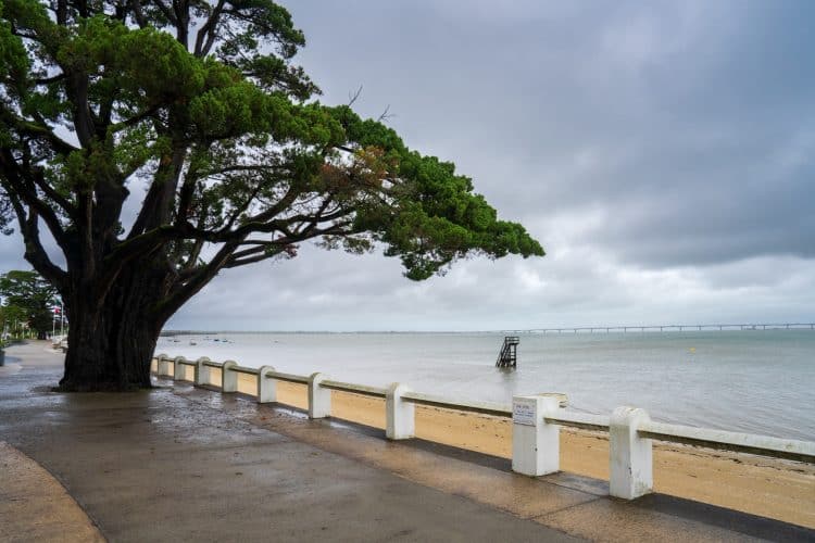 Promenade de Saint-Trojan-les-Bains, Chemin d'Oléron