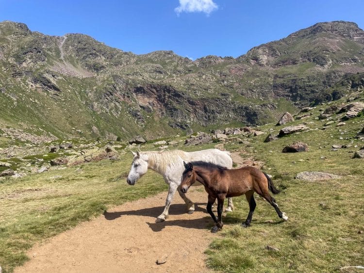 Haute Route Pyrénéenne (HRP) Partie 2 - Andorre, Pallars, Aran