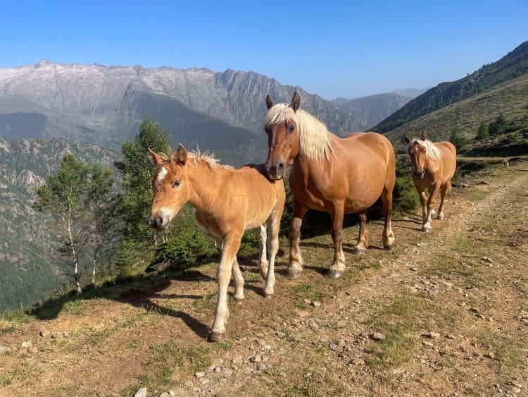 Haute Route Pyrénéenne (HRP) Partie 2 - Andorre, Pallars, Aran