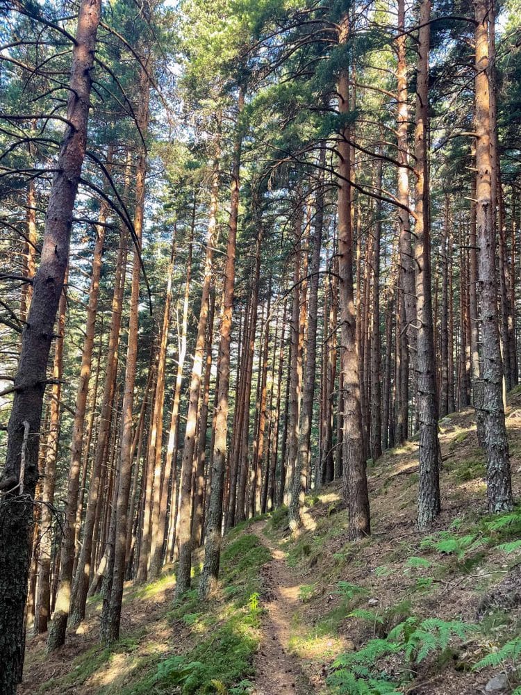 Haute Route Pyrénéenne (HRP) Partie 2 - Andorre, Pallars, Aran