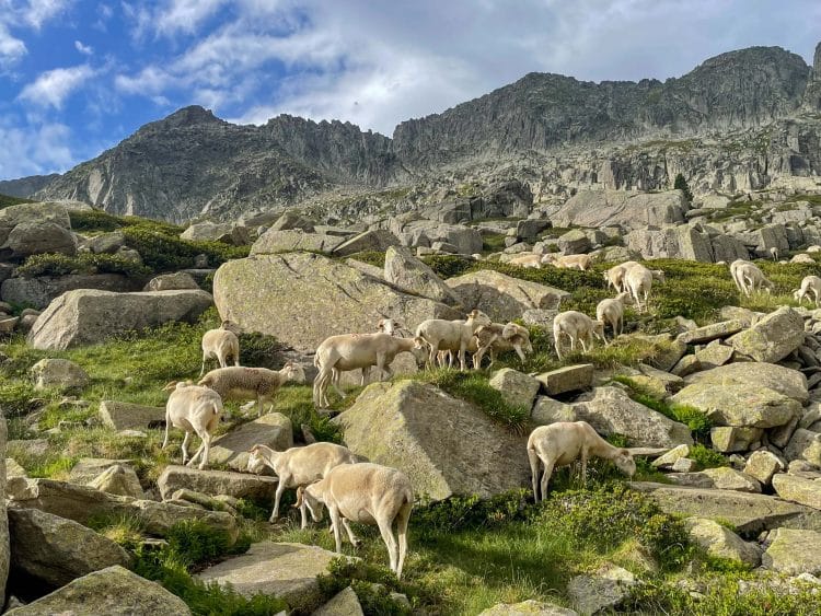 Haute Route Pyrénéenne (HRP) Partie 2 - Andorre, Pallars, Aran