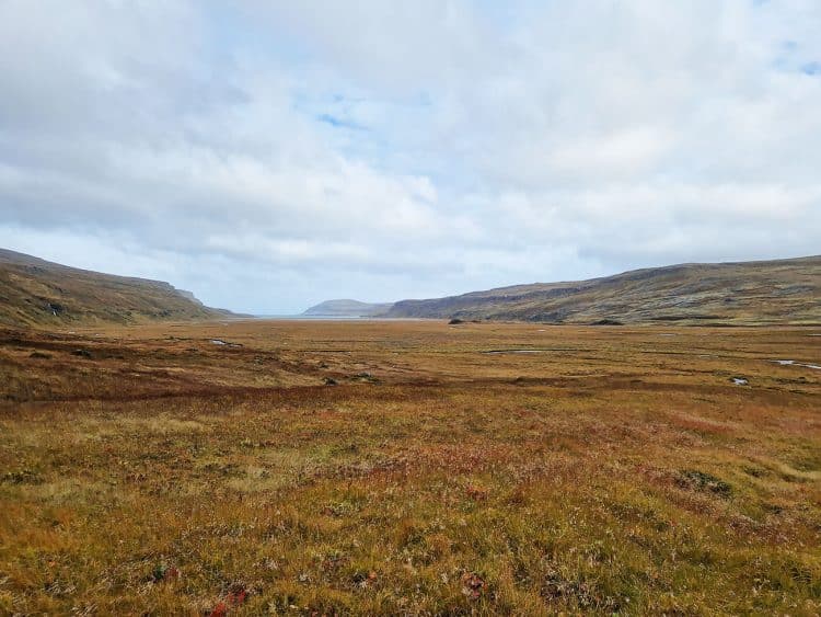 Les marécages de Þaralátursfjörður