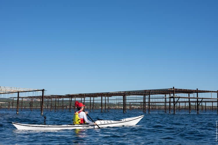 randonnée kayak à Sète, archipel de Thau