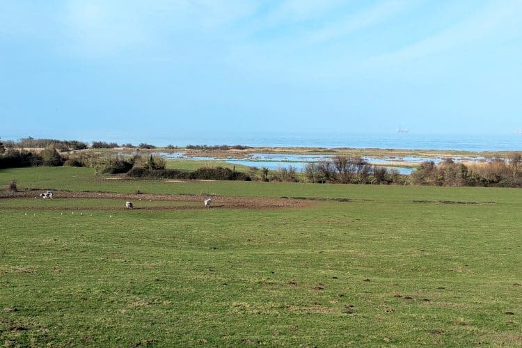 Marais du Cotentin et du Bessin