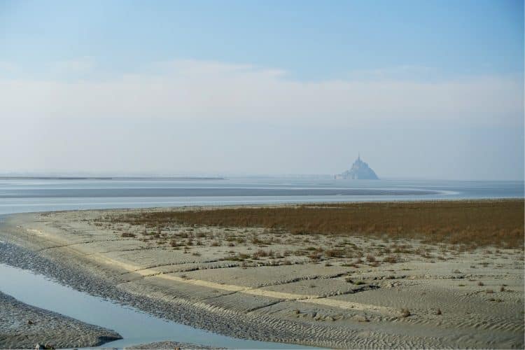 Baie du Mont Saint-Michel - Prés-salés et le long de vasières