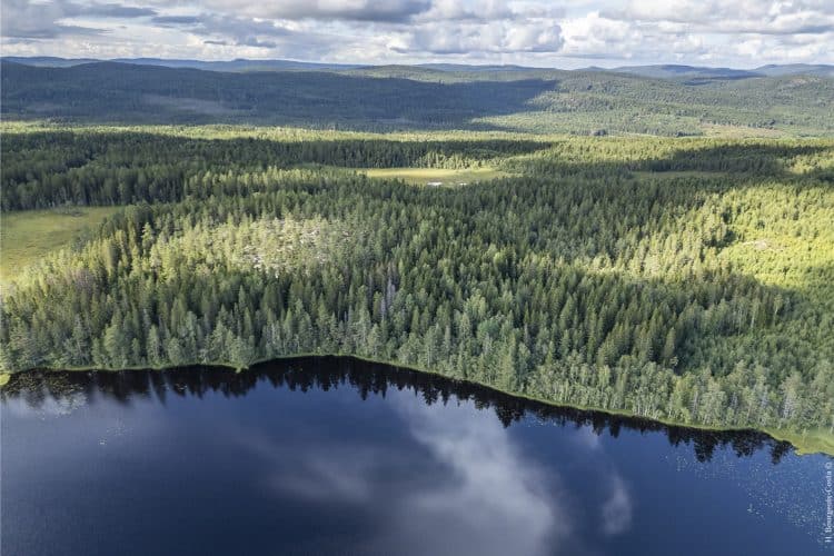 Hôga Kustenleden, le sentier de la Haute Côte en Suède