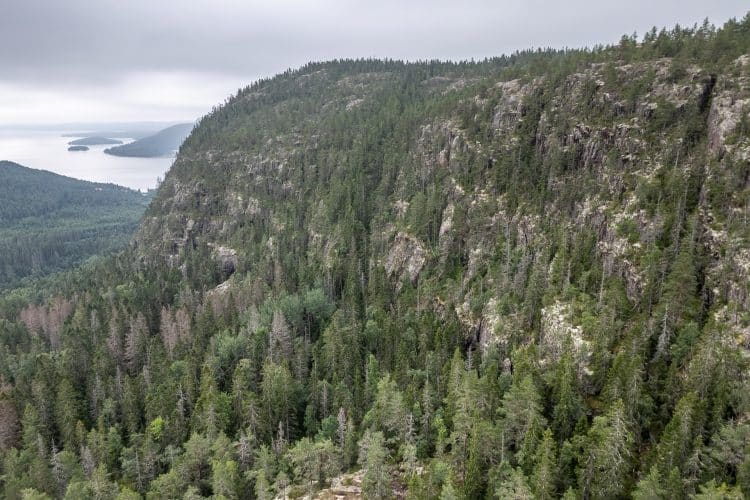 Hôga Kustenleden, le sentier de la Haute Côte en Suède