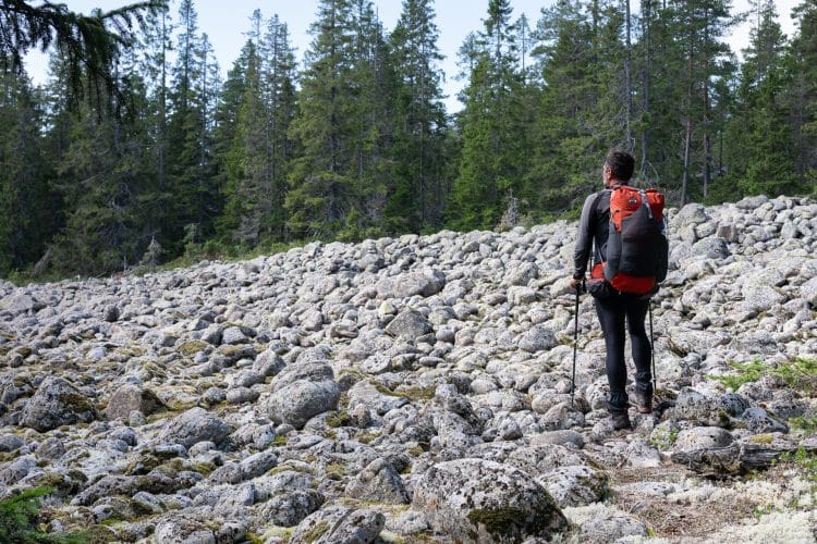 Hôga Kustenleden, le sentier de la Haute Côte en Suède