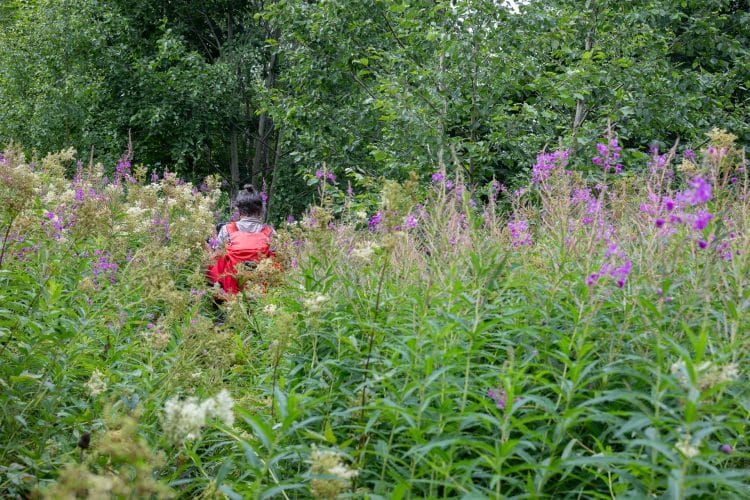 Hôga Kustenleden, le sentier de la Haute Côte en Suède