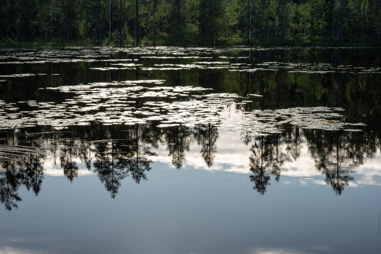 Hôga Kustenleden, le sentier de la Haute Côte en Suède