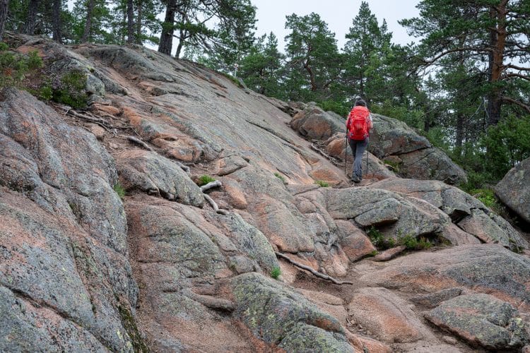 Hôga Kustenleden, le sentier de la Haute Côte en Suède