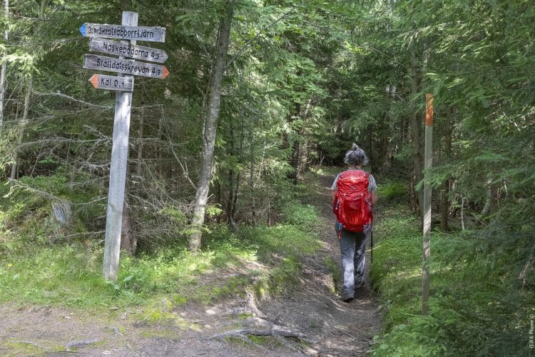 Hôga Kustenleden, le sentier de la Haute Côte en Suède