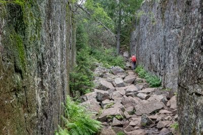 Hôga Kustenleden, le sentier de la Haute Côte en Suède