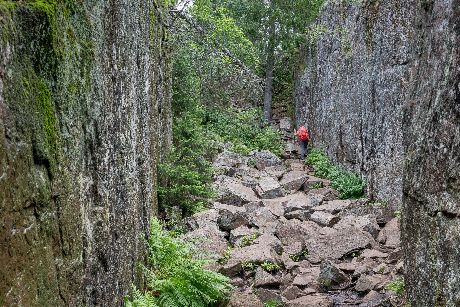 Hôga Kustenleden, le sentier de la Haute Côte en Suède