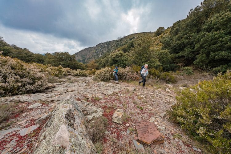 Sous la bergerie El Café, massif de Montseny