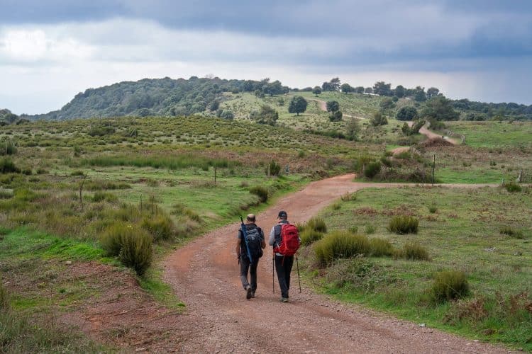 Pla de la Calma, massif de Montseny