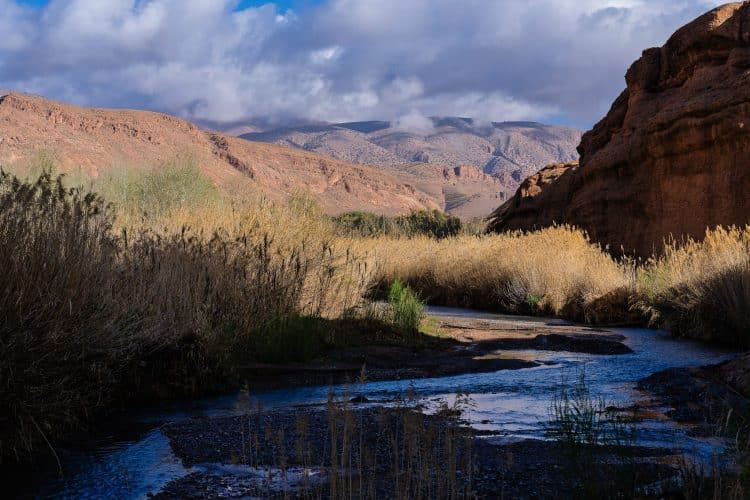 Vallée du M'Goun, Randonnée dans la Vallée des Roses (Maroc)