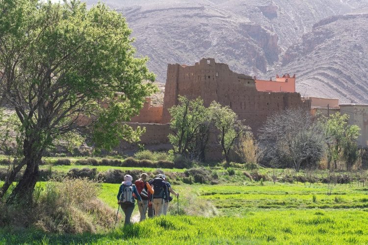 Talemdout, Randonnée dans la Vallée des Roses (Maroc)