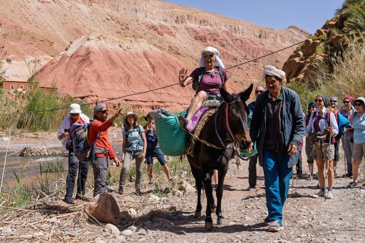 A dos de mule, Randonnée dans la Vallée des Roses (Maroc)