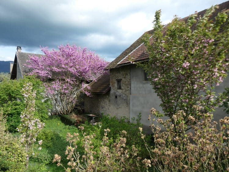 Valromey, Jura