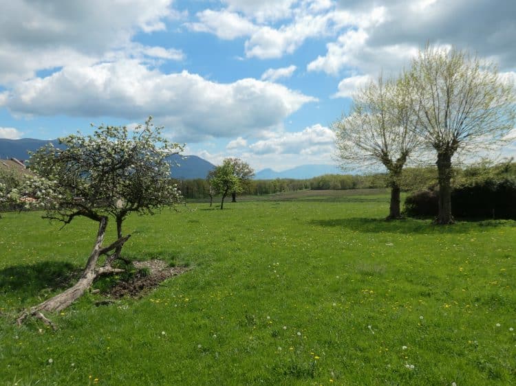 Valromey, Jura