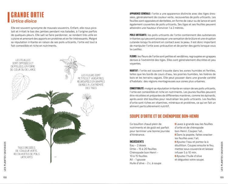 Extrait de Food Rando de Nicolas Leroux