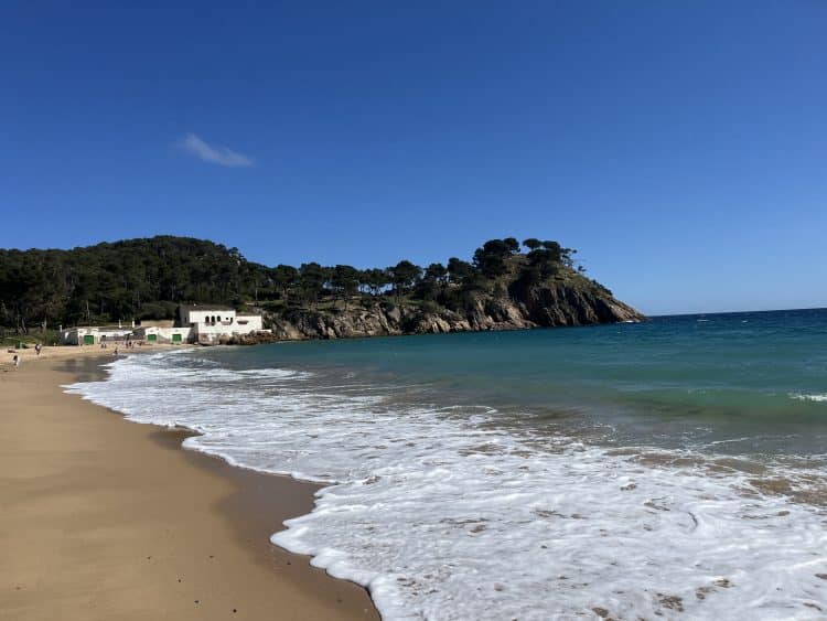 Gouter sur la plage, Pirinexus