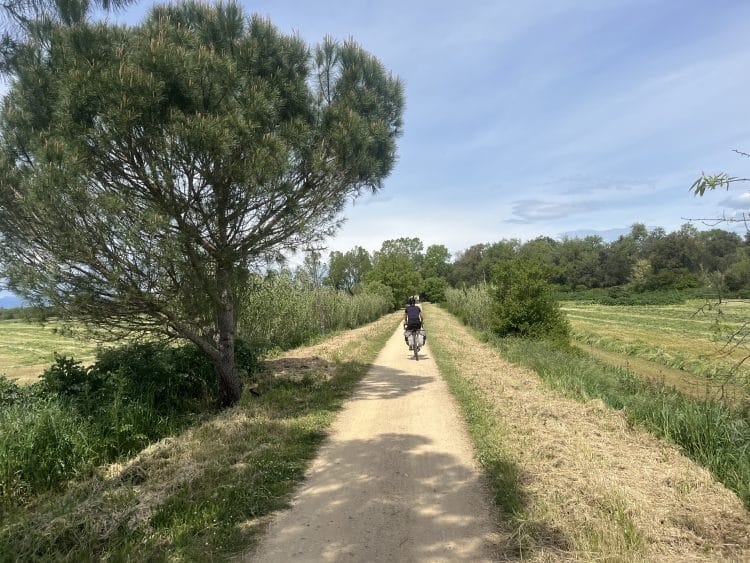 Direction Gerone, Pirinexus