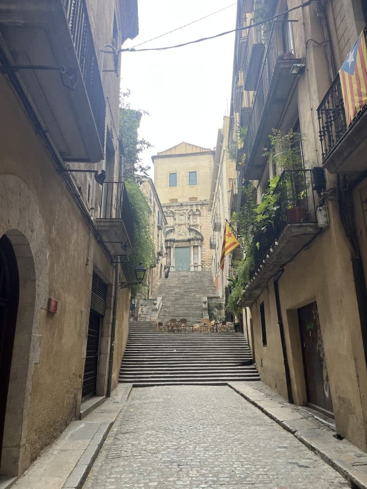 Rues pietonnes de Gérone, Pirinexus