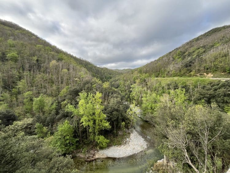 La chaleur revient, Pirinexus