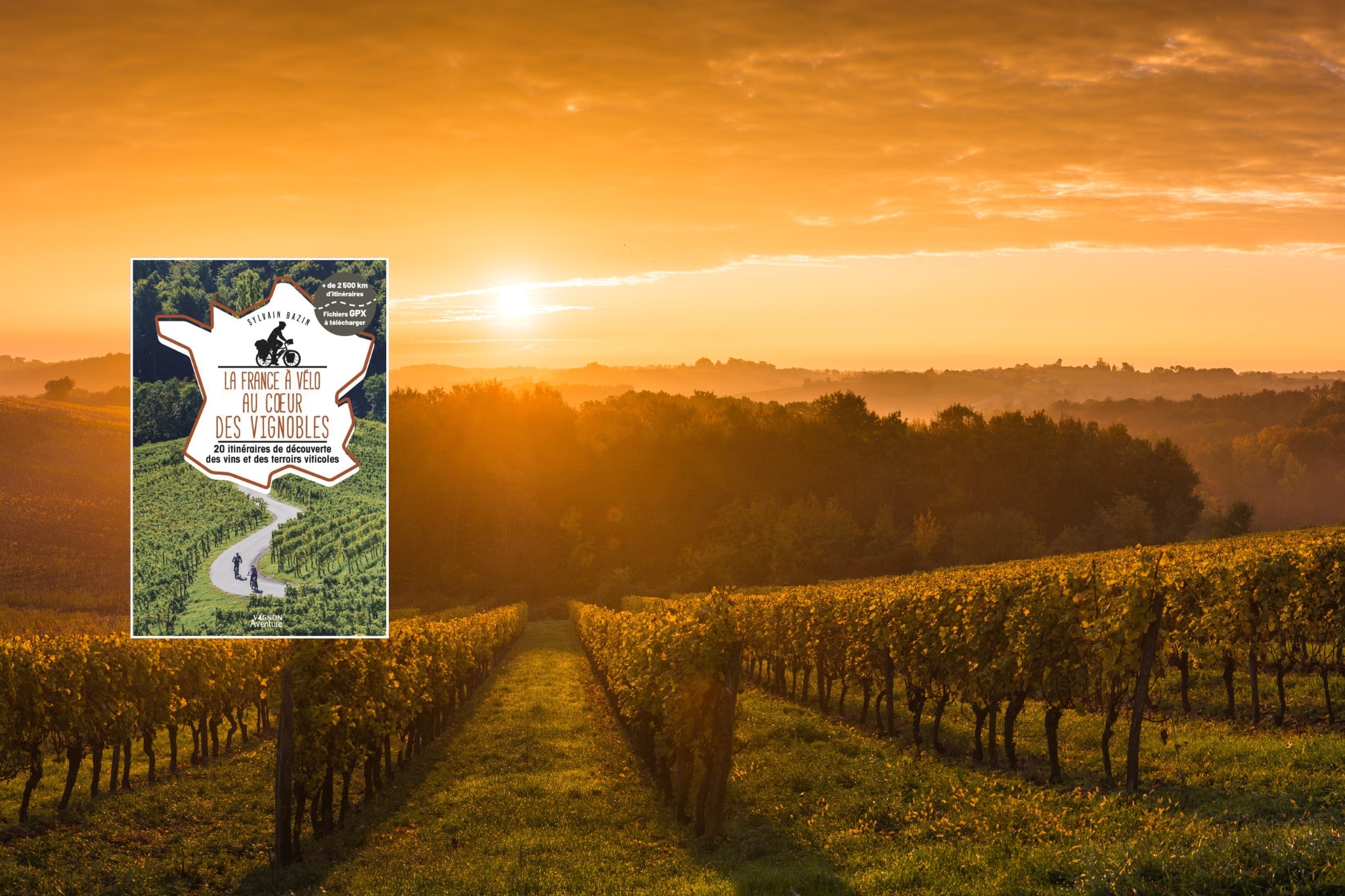 La France à vélo au coeur des vignobles
