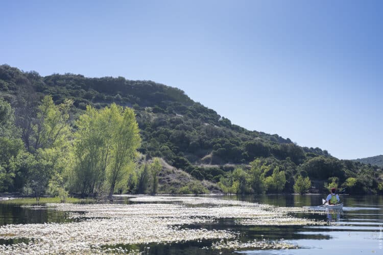 Kayak autour du lac de Salagou