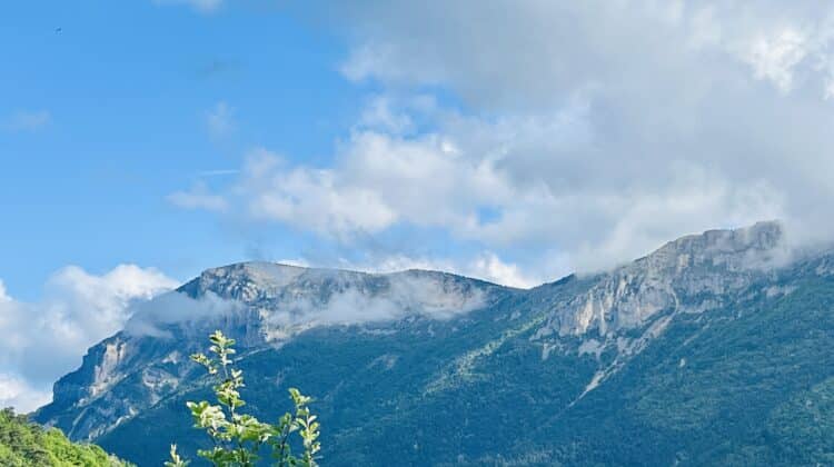 Le Vercors en fond, Trail du Vercors au Ventoux