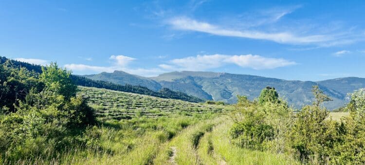 Début de journée bucolique, Trail du Vercors au Ventoux