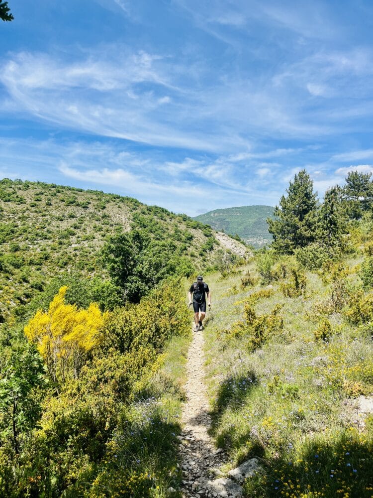 Direction Buis, Trail du Vercors au Ventoux