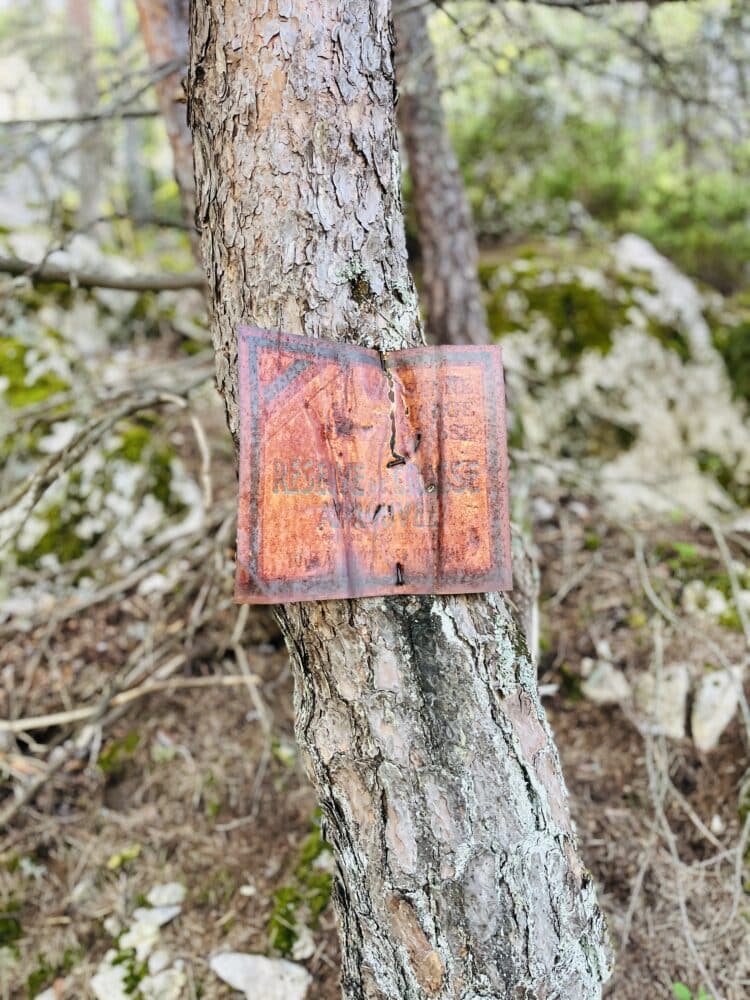 Ambiance bois metal, Trail du Vercors au Ventoux