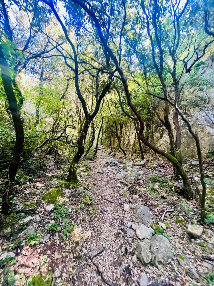 Ambiance changeante direction Gordes, Trail du Vercors au Ventoux
