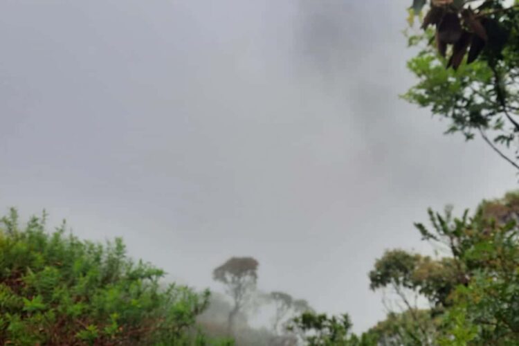 Trek à la Réunion : Cascade du Trou de Fer
