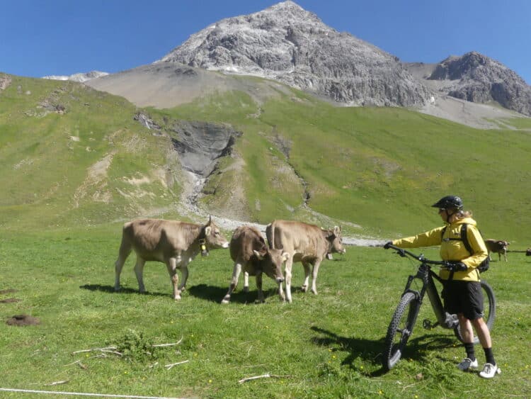 Glacier Bike Tour