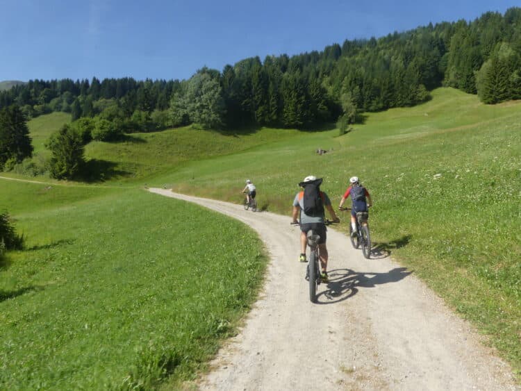 Glacier Bike Tour