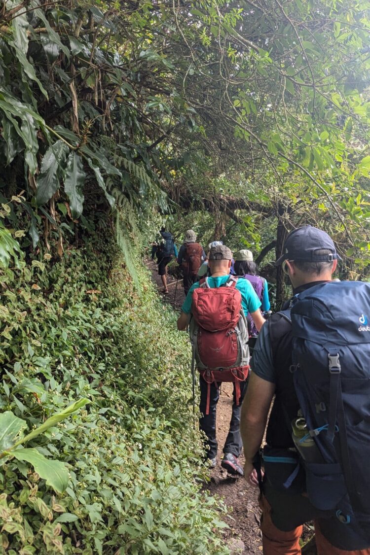 Ilet à Malheur par le Sentier Scout