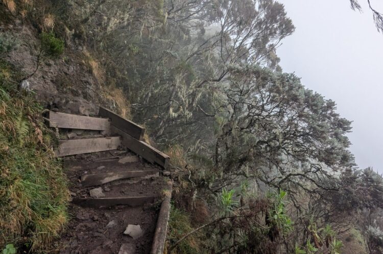 Trek à la Réunion : Vers le sommet du Piton des Neiges