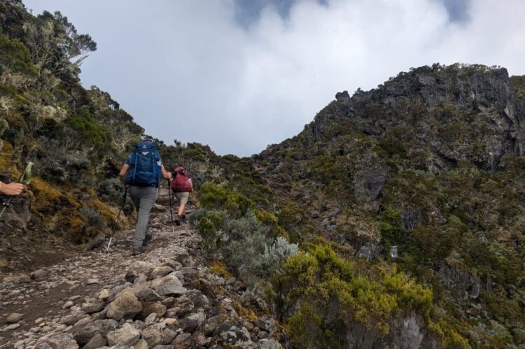 Trek à la Réunion : Vers le sommet du Piton des Neiges