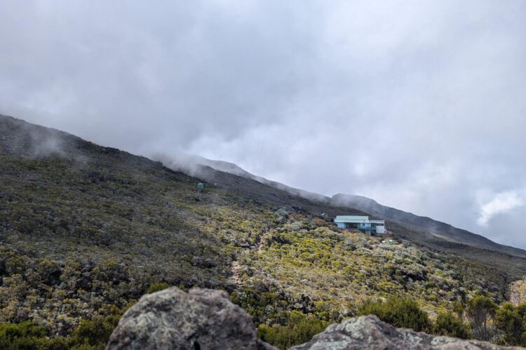 Trek à la Réunion : Vers le sommet du Piton des Neiges