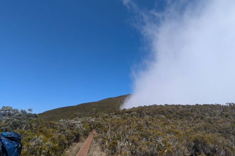 Trek à la Réunion : Ascension du Piton des Neiges et forêt de Bélouve