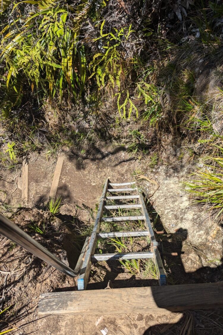 Trek à la Réunion : Ascension du Piton des Neiges et forêt de Bélouve